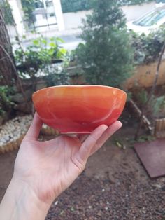 a person holding up a red bowl in their hand