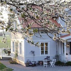 a white house with flowers on the tree