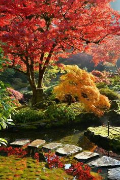 a japanese garden with red and yellow trees