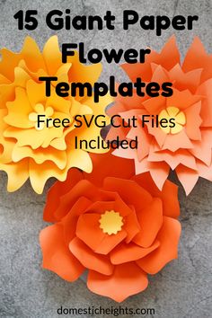 paper flowers with the text 15 giant paper flower templates free svg cut files included