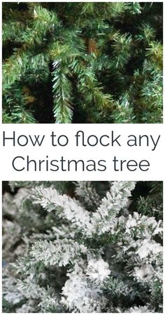 a close up of a pine tree with the words how to flock any christmas tree