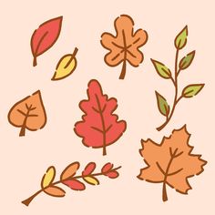 an image of autumn leaves on a pink background