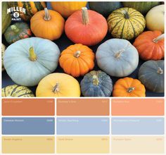 a bunch of pumpkins sitting on top of each other with different colors in them