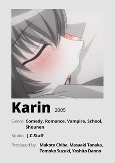 an image of the cover for karin's upcoming album, featuring text and artwork