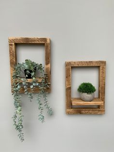 two wooden frames with plants in them on the wall next to each other, one holding a potted plant