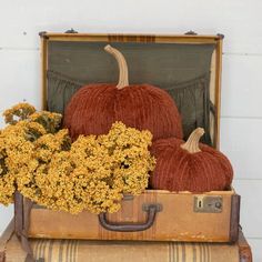 two pumpkins sitting on top of an old suitcase with flowers in the bottom one