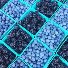 blueberries and raspberries in plastic containers with the words elizabeth rundali