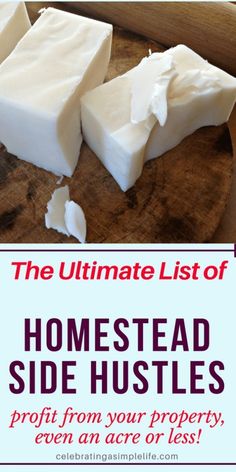 SUPER helpful list of how to get started with some of the best ways for making money farming - even on just a SMALL homestead! Mini Farms, Small Homestead, Homestead Farm, Farm Business, Homesteading Skills, A Simple Life, Homestead Living, Urban Homesteading