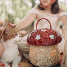 A bag that kiddos, mom, and squirrels would love! This cutest mushroom shaped bag/basket features a door that opens and a roof that lifts – with a handle on top, you can bring along your toys, dolls, treasures and cheeky snacks wherever you go. Dimensions: 8 H, (10.5 H with handle) x 9.5W (inches) Materials: Handwoven with 100% natural Rattan.Age: 3 years+.You Might Be interested in: RattanForest Mushrooms BasketMaileg Mouse Dolls Mushroom Basket, Foraging Bag, Imagination Toys, Kids Baskets, Olli Ella, Magical Home, Nature Baby Shower, Decorative Basket, Small Doors