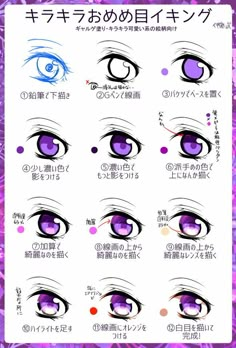 an image of various types of eyes