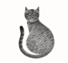 a black and white drawing of a cat