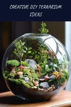 a glass bowl filled with plants and rocks on top of a wooden table next to the words creative diy terrarium ideas