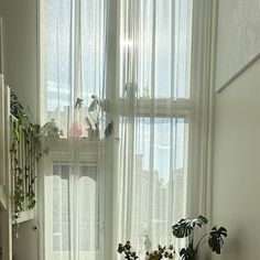 a living room filled with furniture and lots of plants on the window sills