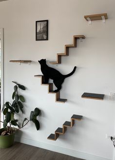 a black cat sitting on top of a set of stairs