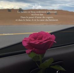 a pink rose sitting on the dashboard of a car in front of a road with a sky background