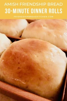 bread rolls in a baking pan with text overlay saying amish friendship bread 30 - minute dinner rolls