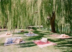 there are many blankets and pillows on the ground under a tree with willow trees in the background