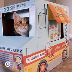 an orange and white cat looking out from the inside of a food truck shaped cardboard box