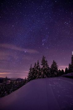 the night sky is filled with stars above trees and snow covered ground, as seen from a hill