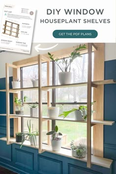 the diy window houseplant shelves are made from wood and have plants in them