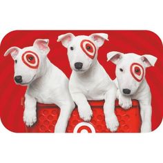 three white dogs with bullseye on their eyes sitting in front of a red background