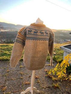 an old sweater is on display in the yard