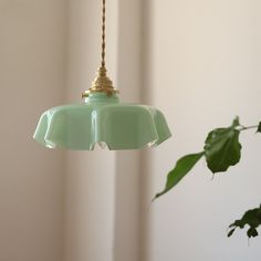 a green lamp hanging from a ceiling next to a potted plant on a table