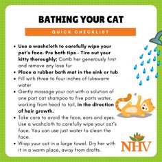 Give your cat natural remedies to support their health and wellnessVet formulated 100natural herbal supplements to help them live healthier for longer. Bath Checklist, Raising Kittens, Cat Infographic, First Time Cat Owner, Getting A Kitten, Cat Bath, Cat Hacks, Cat Care Tips, Kitten Care