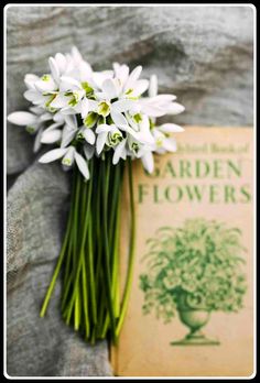 white flowers sitting on top of an old book next to it's cover,