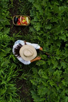 an overhead view of a person laying in the grass with a hat on their head