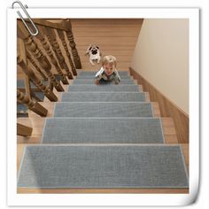 a small child is sitting on the stairs with a dog looking up at him from behind