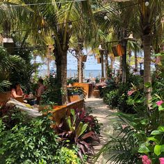 people sitting at tables under palm trees on the beach in front of some water and plants