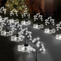 lighted trees are arranged in the shape of snowflakes