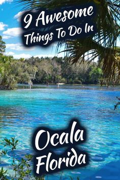 the ocean with text that reads 9 awesome things to do in ocalaa, florida