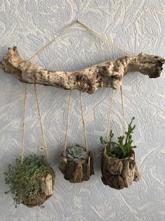 three hanging planters with plants in them on a white wall next to a wooden branch