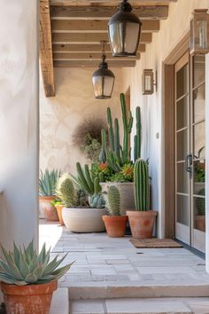 some potted plants are sitting on the porch