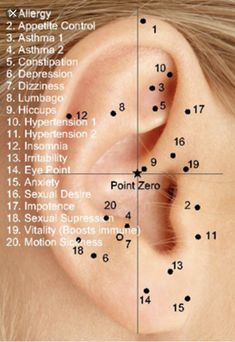 Ear Acupressure Points, Ušný Piercing, Ear Reflexology, Ear Seeds, Shiatsu Massage Acupressure, Acupuncture Benefits, Acupressure Therapy, Hand Reflexology, Reflexology Chart