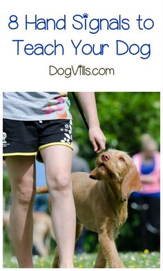 a dog standing on top of a grass covered field next to a person's legs