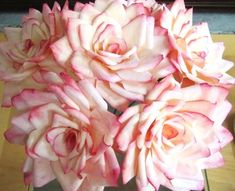 some pink flowers are in a glass vase