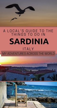 a bird flying over the ocean with text that reads, a local's guide to the things to do in sardina italy