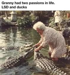 an old lady is cleaning up some alligators in the water with her hands and feet