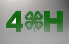 four leaf clover with the word ho4h in green on a stainless steel background