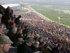 a large group of people sitting in the stands at a horse racing track with horses and jockeys