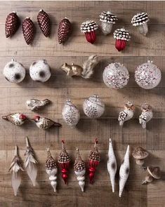 several different types of sea shells on a wooden surface with pine cones and acorns