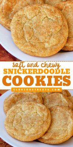 Here's an easy Christmas cookie! This Soft and Chewy Snickerdoodle Cookie recipe features slightly crisp, golden edges and coated with a mouth-warming cinnamon sugar mixture. Save this sweet Christmas dessert idea for your Holiday baking recipe! Best Soft Snickerdoodle Cookies, Sour Cream Snickerdoodle Cookies, Cinnamon Snickerdoodle Cookies, Big Snickerdoodle Cookies, Christmas Freezer Cookies, Angel Cookies Recipe, Snickerdoodles Cookies Recipe, Vanilla Christmas Cookies, Chewy Snickerdoodle Cookies Recipes