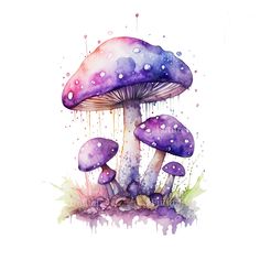 two purple mushrooms with watercolor drops on them