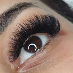 Volume Cat Eye Lash Extensions D Curl, 15-20mm Lash Extensions, 10-15 Mm Lash Extensions, 8-15 Mm Lashes, Lash Extensions Care, Extreme Cat Eye Lash Extensions, Story Script, Aveda Makeup, Lash Extensions Makeup