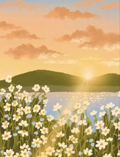 the sun is setting over a lake with daisies