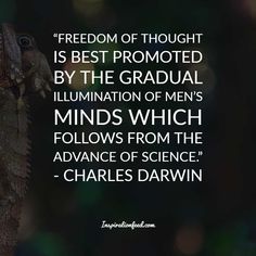 an image of a lizard with the quote,'freedom of thought is best promoted by the gradual illumination of men's minds which follows from the advance of science - charles darwin