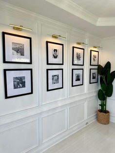 a room with white walls and pictures on the wall, including a potted plant